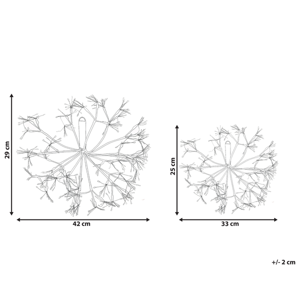 Abbildung von zwei dekorativen Zierlauchkugeln mit Größenangaben