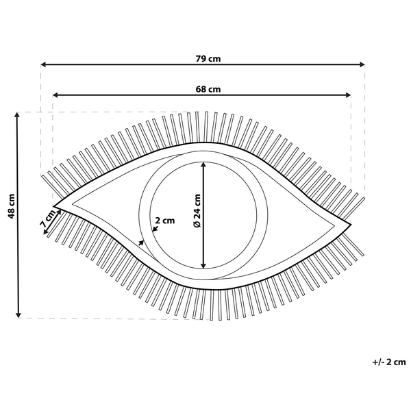 Technische Zeichnung eines Auges mit den Maßen 79 x 48 cm