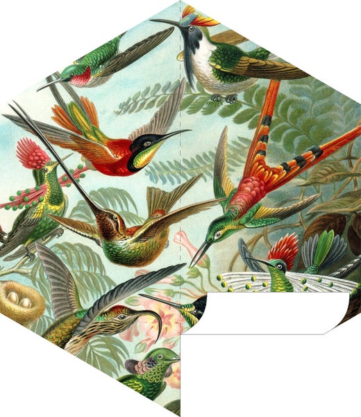 ESTAhome Wandtattoo Vögel Dschungelgrün - 140 x 161 cm - 159023