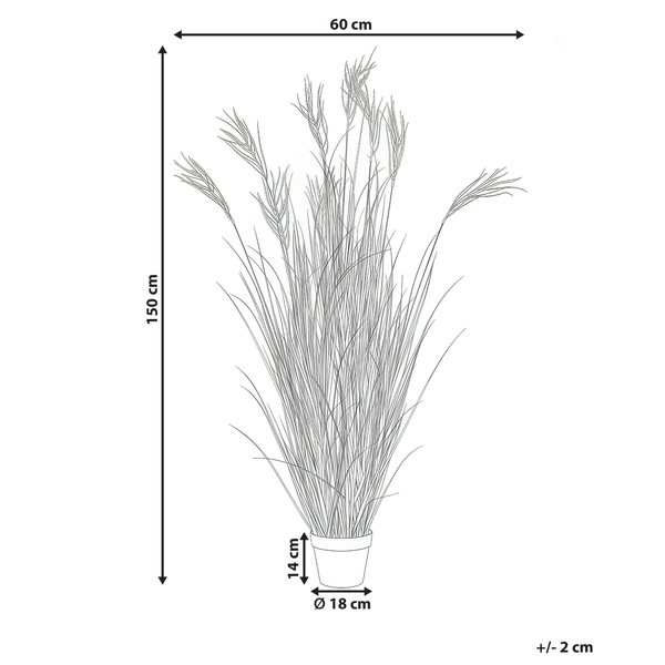 Illustration einer Pflanze im Topf mit einer Höhe von 150 Zentimetern und einer Breite von 60 Zentimetern