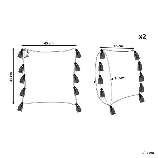Dekokissen 2er Set BOUVARDIA Baumwolle 45 x 45 cm Grau ZickZack-Muster