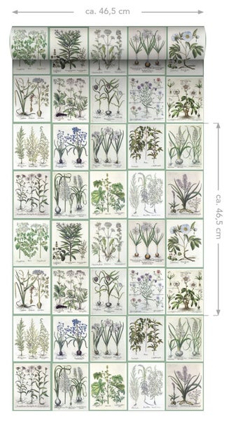 ESTAhome XXL-Vliestapete Seiten aus botanischen Büchern Hellgrau und Grün - 50 x 900 cm - 158826