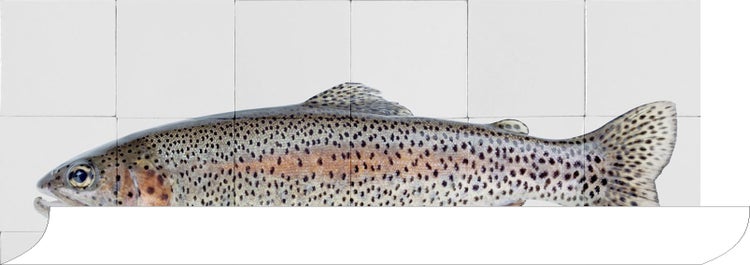 ESTAhome Wandtattoo Fisch Grau und Lachsrosa - 97 x 48.5 cm - 159031