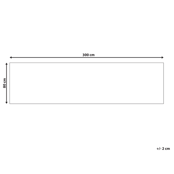 Teppich RITAPURAM Bunt 80 x 300 cm