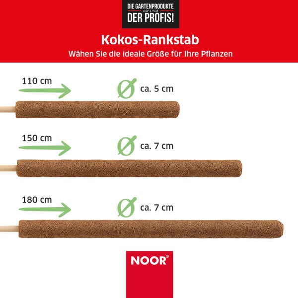 Kokos-Rankstab - Ø 7 cm x 180 cm - verlängerbare Rankhilfe mit Holzstiel - 100 % Naturmaterial - stabile Kletterhilfe für Pflanzen, dekorativ & nachhaltig