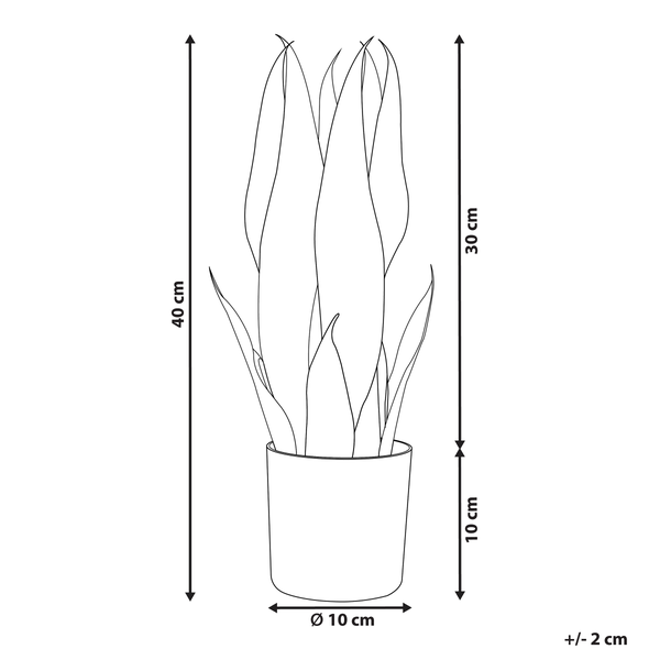 Kunstpflanze SNAKE PLANT 40 cm Grün