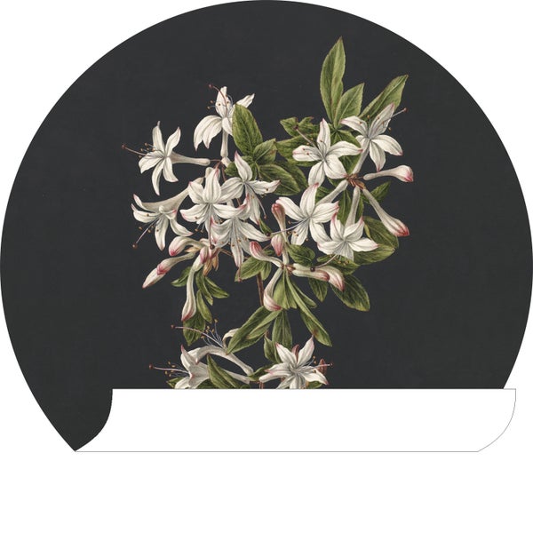ESTAhome selbstklebende runde Tapete Blüte Hellrosa und Schwarz - Ø 70 cm - 158992