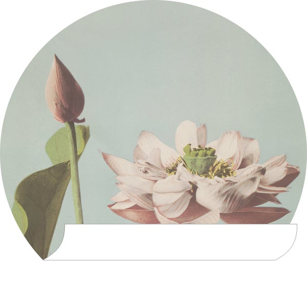ESTAhome selbstklebende runde Tapete Lotusblume Altrosa und Graublau - Ø 70 cm - 158994