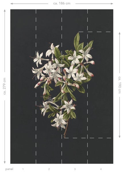 ESTAhome Fototapete Blüte Hellrosa und Schwarz - 1,86 x 2,79 m - 158885