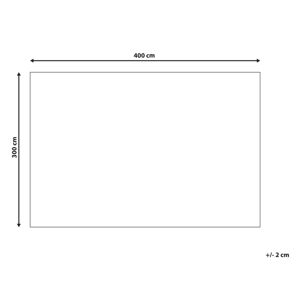 Teppich ASPANI Beige 300 x 400 cm