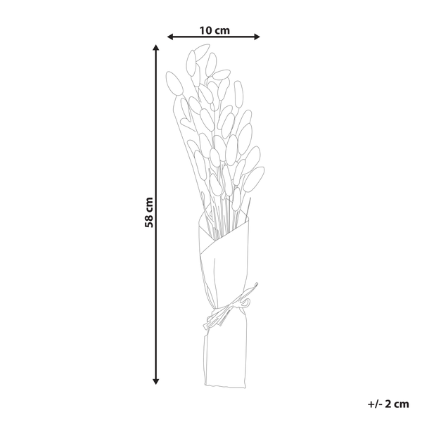 Trockenblumenstrauß SANABRIA 58 cm Naturfarben