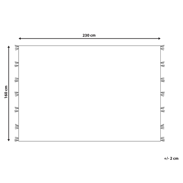 Teppich ARGAVAND Beige 160 x 230 cm Wolle Kelim