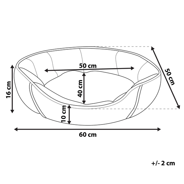 Nahaufnahme einer Purpurglöckchenpflanze mit dekorativen Blättern