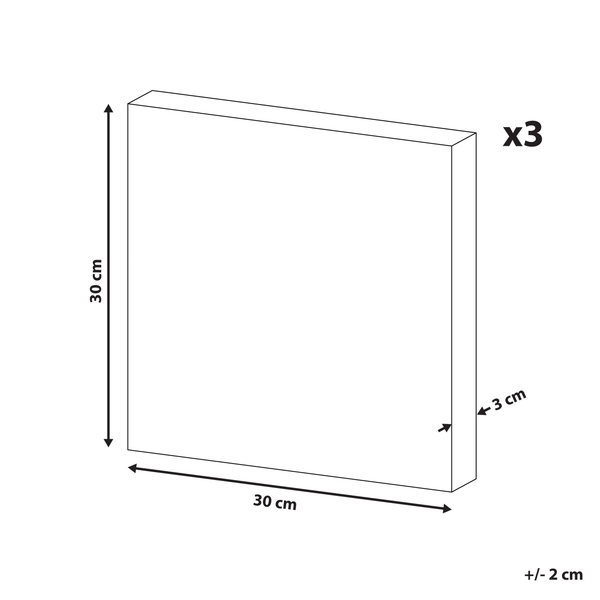 Leinwand 3er Set TIMIA Tiermotiv 30 x 30 cm Grau
