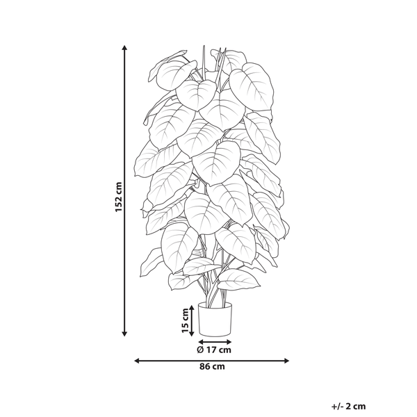 Kunstpflanze DIEFFENBACHIA 152 cm Grün