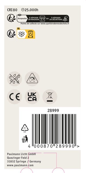 Technische Informationen auf der Produktverpackung der Paulmann Leuchte mit Hinweisen zu Entsorgung und Funkstandards.