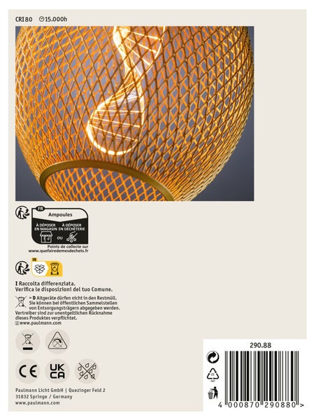 LED Lampe mit Drahtgitter Schirm und gewendeltem Glühfaden Details auf der Produktverpackung mit Entsorgungshinweisen und Barcode.