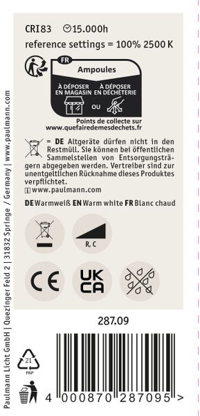 Technische Angaben und Entsorgungshinweise auf der Verpackung des Paulmann Leuchtmittels.