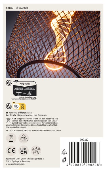 Informationen und Kennzeichnungen auf der Verpackung einer Paulmann Lampe inklusive Strichcode und Entsorgungshinweisen
