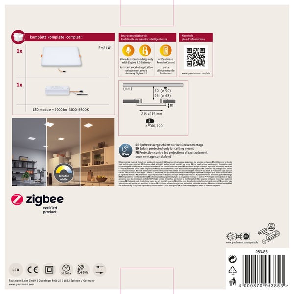 Technische Informationen und Entsorgungshinweise eines Leuchtmittels auf der Produktverpackung mit Barcode und Paulmann Licht Logo.