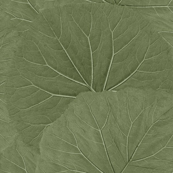 Walls4You Tapete tropische Blätter Olivgrün - 53 cm x 10.05 m - 935305