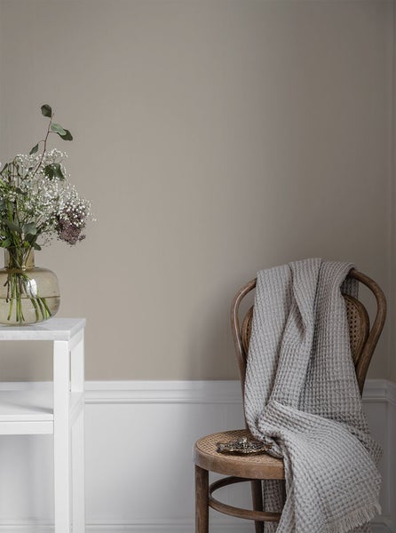 Pomeranian liegt auf Hundebett mit Pfotenabdruckmuster