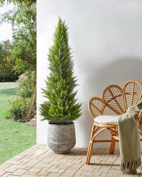 Kunstpflanze CEDAR TREE 153 cm Grün