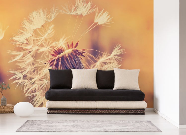 Fototapete mit einer Nahaufnahme einer Pusteblume in einem modern eingerichteten Wohnzimmer mit Futon-Sofa und hellen Kissen.