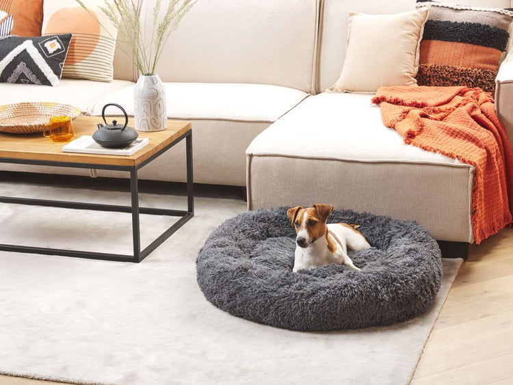 Vier Szenen zeigen einen Ethanolkamin in einem Wohnzimmer, einem Esszimmer und auf einer Terrasse.