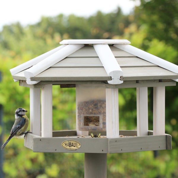 Vogelhaus mit Futtersilo und Blaumeise