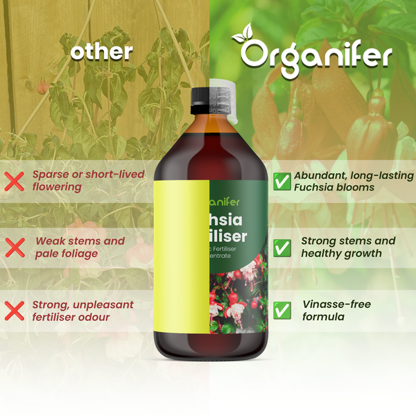 Organifer Logo, Fuchsien-Dünger Vergleich: Vorteile wie üppige Blüte, starke Stiele und vinassefreie Formel gegenüber anderen Düngern.