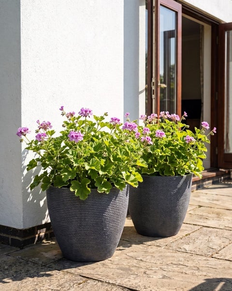 Zwei runde graue Pflanzkübel mit strukturierter Oberfläche und rosa Blumen auf einer Terrasse.