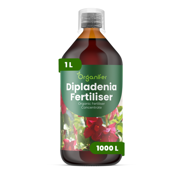 Organifer Dipladenia Dünger, organisches Düngerkonzentrat, 1 Liter Flasche, ausreichend für 1000 Liter.