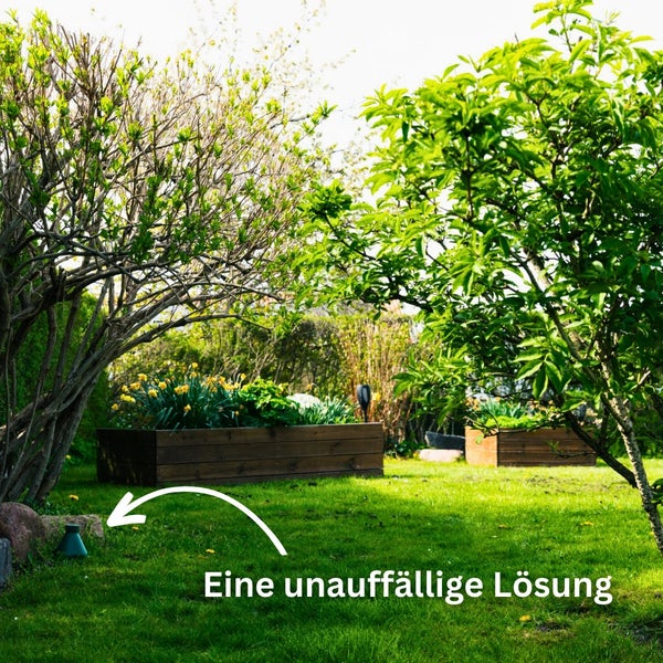 Garten mit Hochbeeten aus Holz und einer unauffälligen Gartenleuchte im Gras bei Bäumen und Blumen.