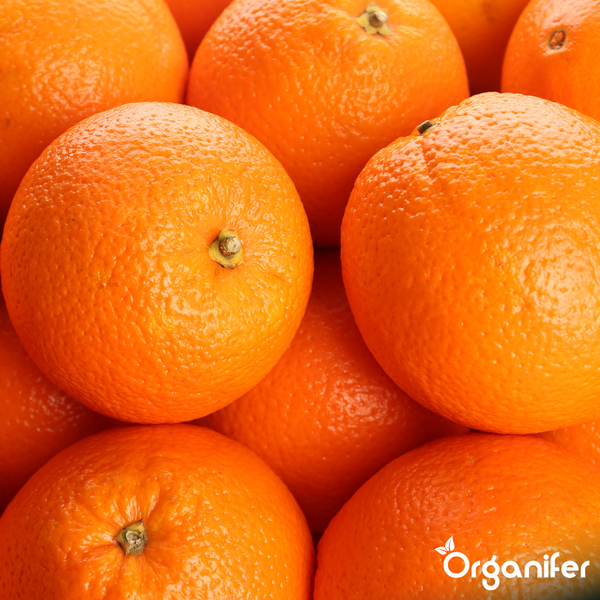 Nahaufnahme mehrerer frischer, reifer Orangen. Organifer Logo.