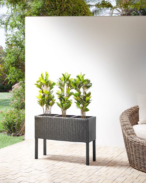 Geflochtener Pflanzkasten mit Pflanzen auf einer Terrasse