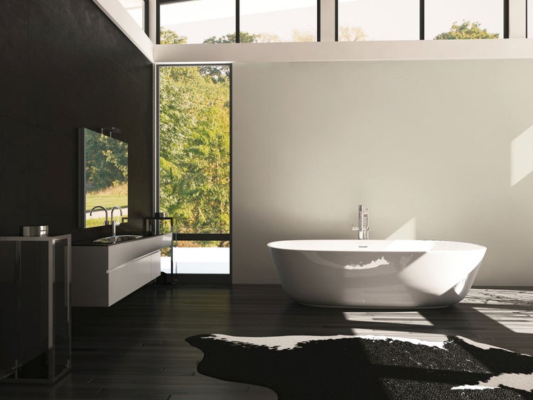 Zierstrauch mit roten Beeren im Garten