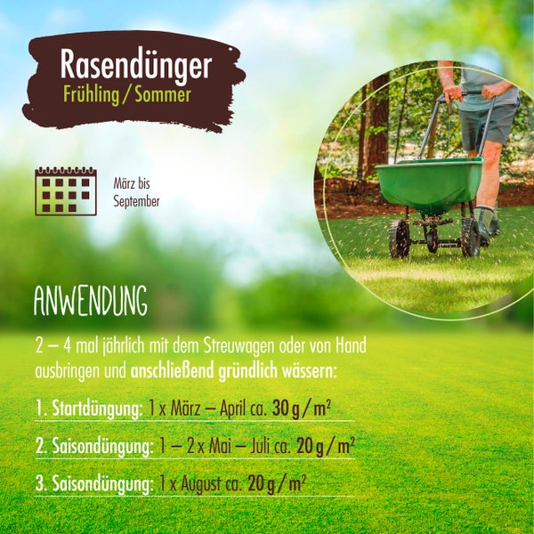 Informationen zur Anwendung von Rasendünger für Frühling und Sommer.