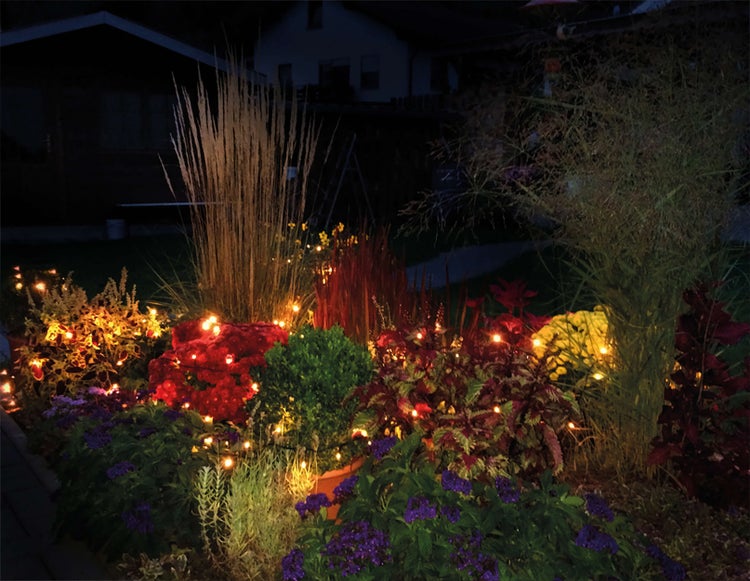Beleuchteter Garten mit verschiedenen Pflanzen und Dekorationen bei Nacht