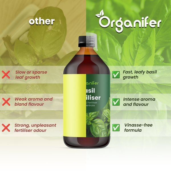 Organifer Logo. Vergleich von Basilikumdünger zeigt Vorteile wie schnelles Blattwachstum, intensives Aroma und Vinasse-freie Formel gegenüber anderen.