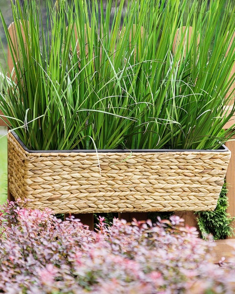 Dekorative Pflanzbox aus geflochtenem Material mit grünen Gräsern.