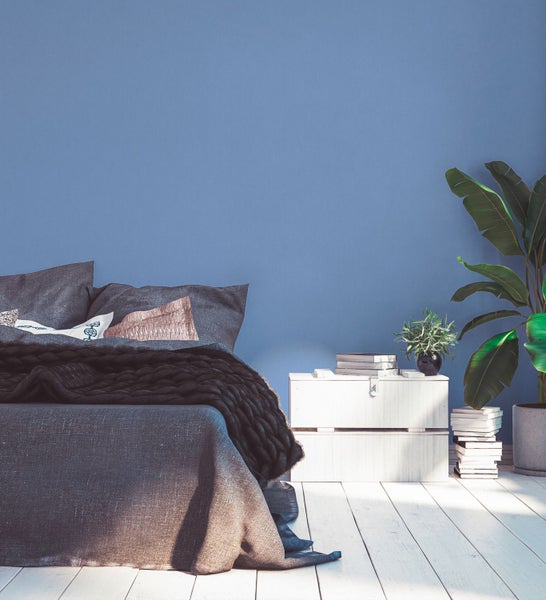 Schlafzimmer mit Bett, Nachttisch und Zimmerpflanze