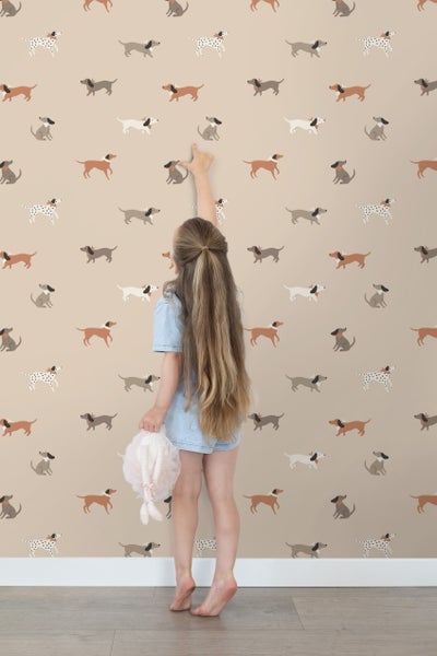 Roter Hartriegel Busch mit kahlen Ästen