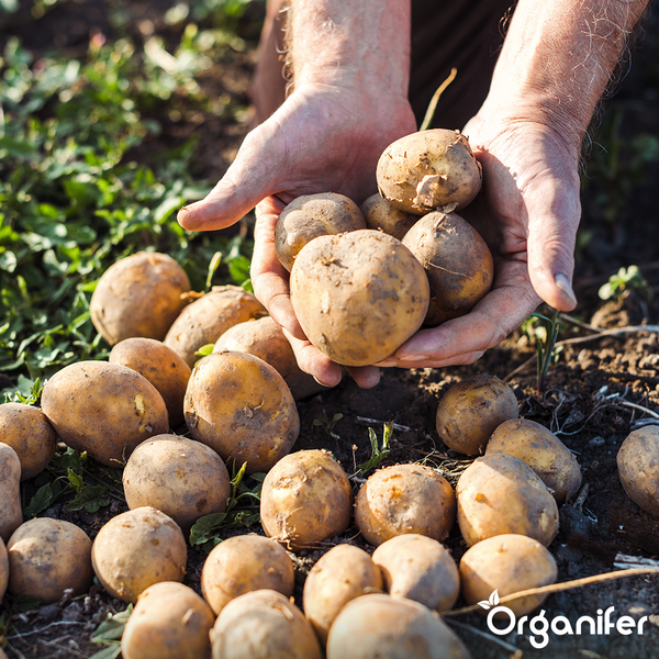 Anwendungsbeispiele für Mobilitätshilfen