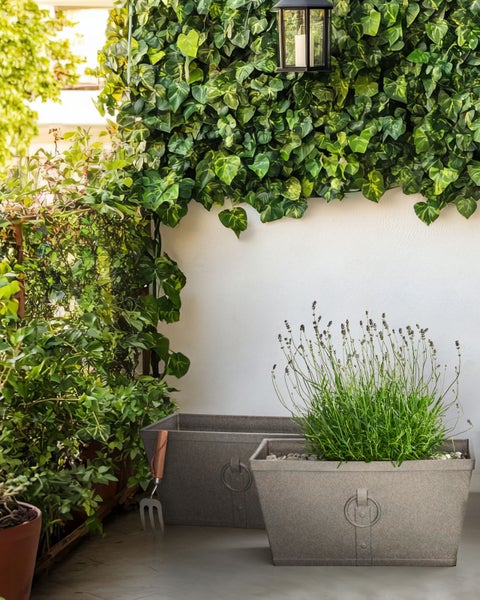 Zwei längliche Pflanzkästen mit dekorativen Ringgriffen.