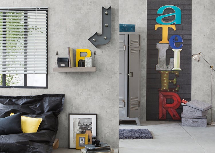 Nahaufnahme von Skabiose mit filigranen Blüten vor blauem Gartenzaun