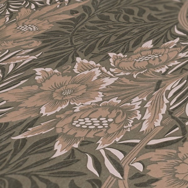 Dürr Samen Zwerg-Sonnenblumen Teddybär Packung