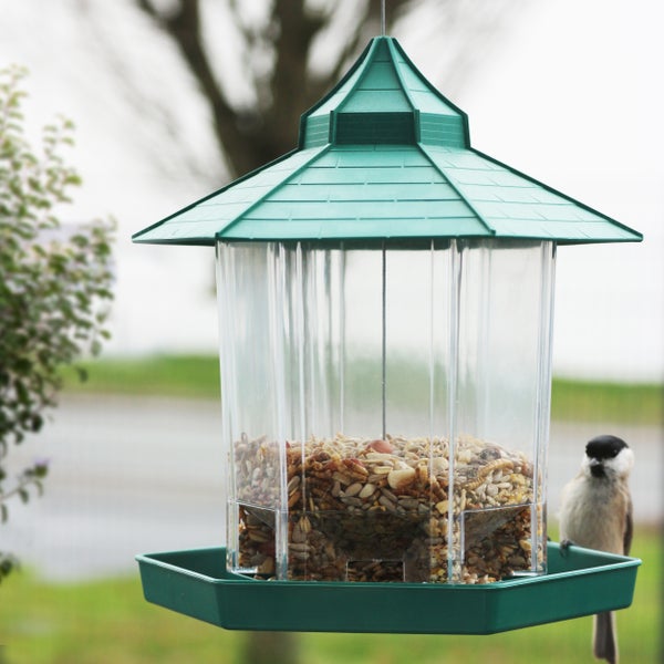 Vogelhaus mit Futtermischung und einer Meise