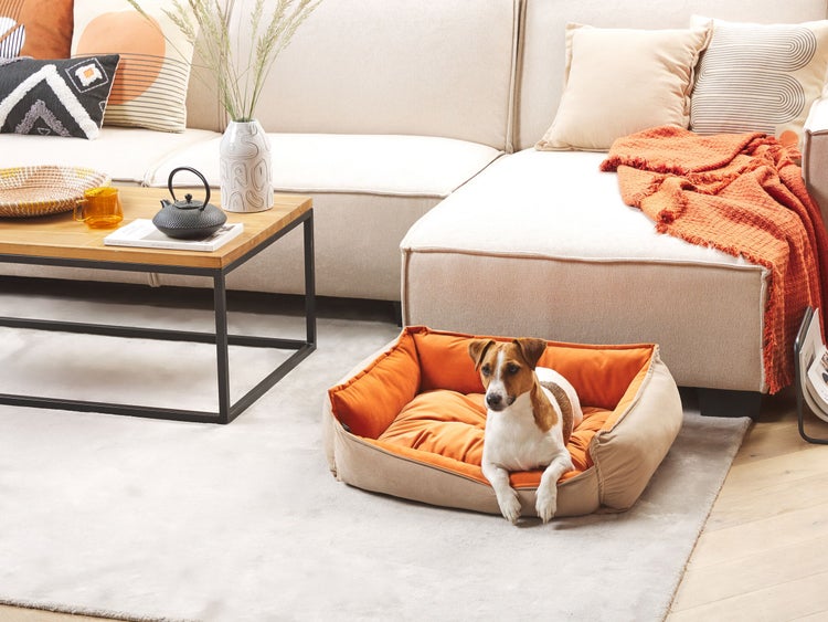 Tierbett IZMIR Samtstoff Orange