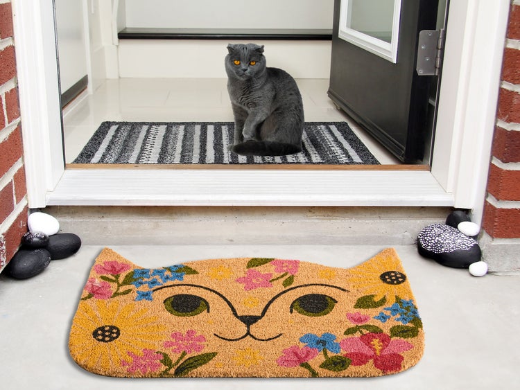 Eingangsbereich mit einer Fußmatte in Katzenform und einem grauen Katze auf einer gestreiften Matte
